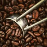 coffeebeans-summer-hopicoffee-coffeestand-organic-decaf-fukuoka-ohashi-cafe